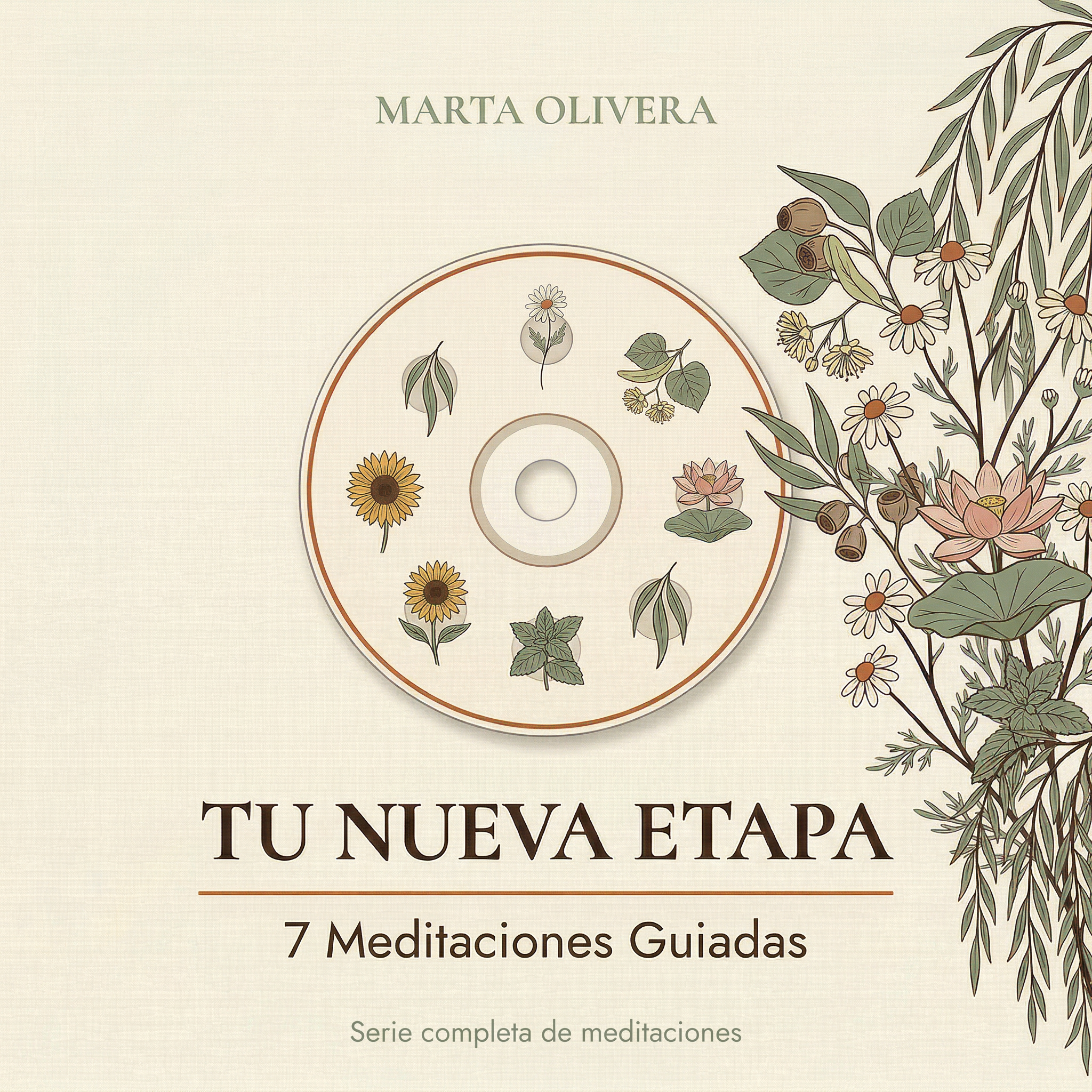 Tu Nueva Etapa — Pack Full | Todo el material: eBook, audiolibro, meditaciones, planes y bonus